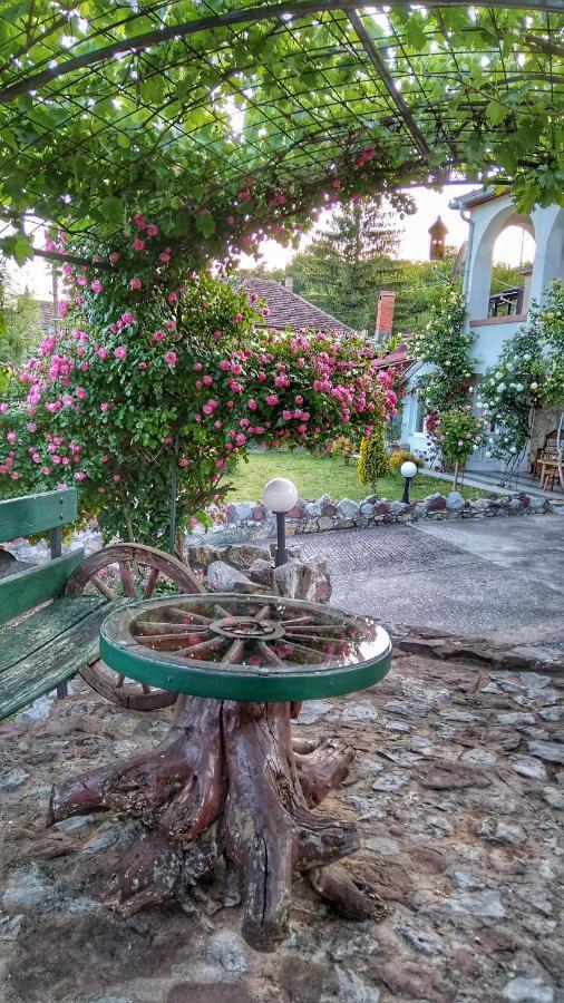 Knez Apartmani Senje Exterior foto
